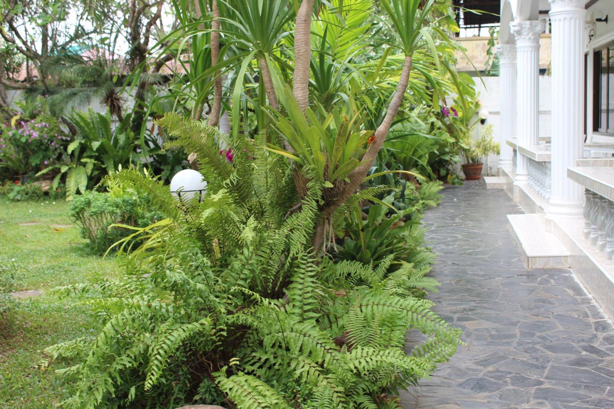 White Elephant Resort Surin Εξωτερικό φωτογραφία