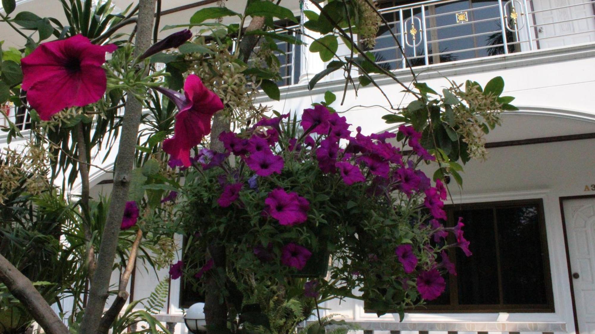 White Elephant Resort Surin Εξωτερικό φωτογραφία